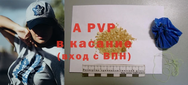 прущие грибы Дмитровск