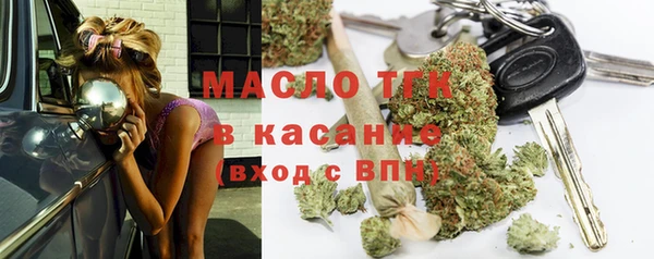 тгк Дмитриев